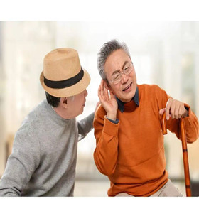 听觉系统的老化0411-84338707