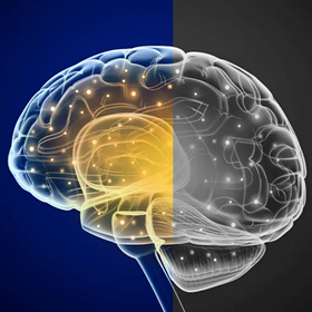 【大连助听器总部】美国斯达克新品上市0411-84338707  