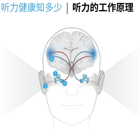 【大连助听器总部】美国斯达克新品试听会0411-84338707  